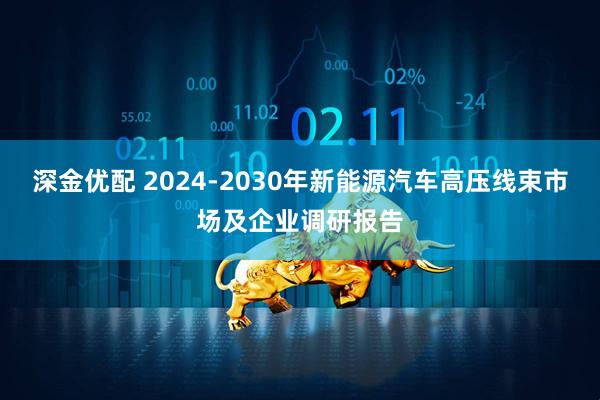 深金优配 2024-2030年新能源汽车高压线束市场及企业调研报告
