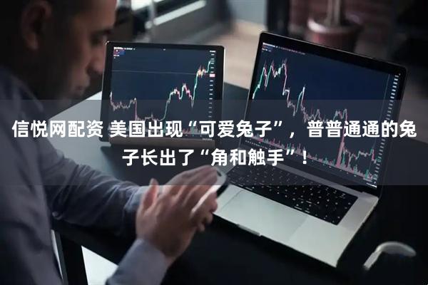 信悦网配资 美国出现“可爱兔子”，普普通通的兔子长出了“角和触手”！
