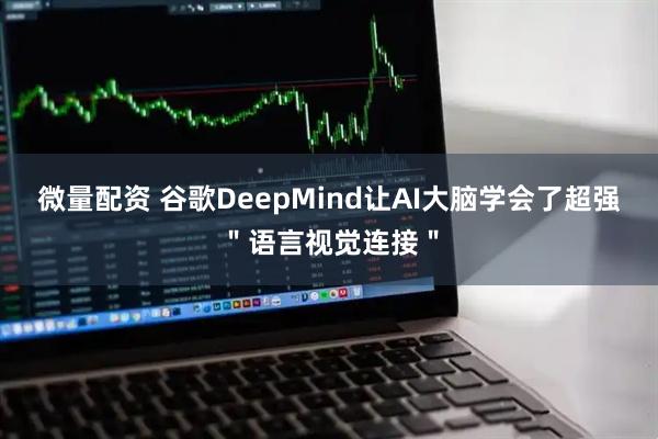 微量配资 谷歌DeepMind让AI大脑学会了超强＂语言视觉连接＂