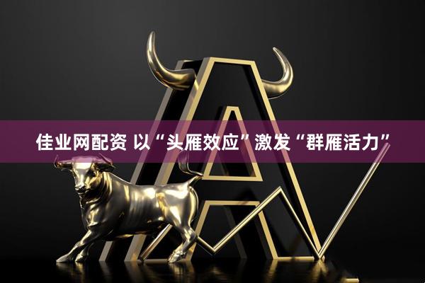 佳业网配资 以“头雁效应”激发“群雁活力”